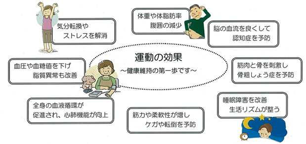 運動の効果